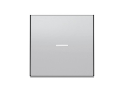 TECLA INTERRUPTOR CON VISOR SKY NIESSEN PLATA