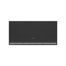 TECLA INTERRUPTOR REGULABLE NG/MT  10001020-238