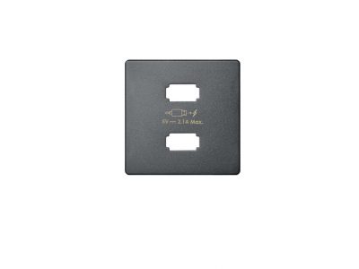 TAPA CARGADOR 2 USB TITANIO 8221096-096